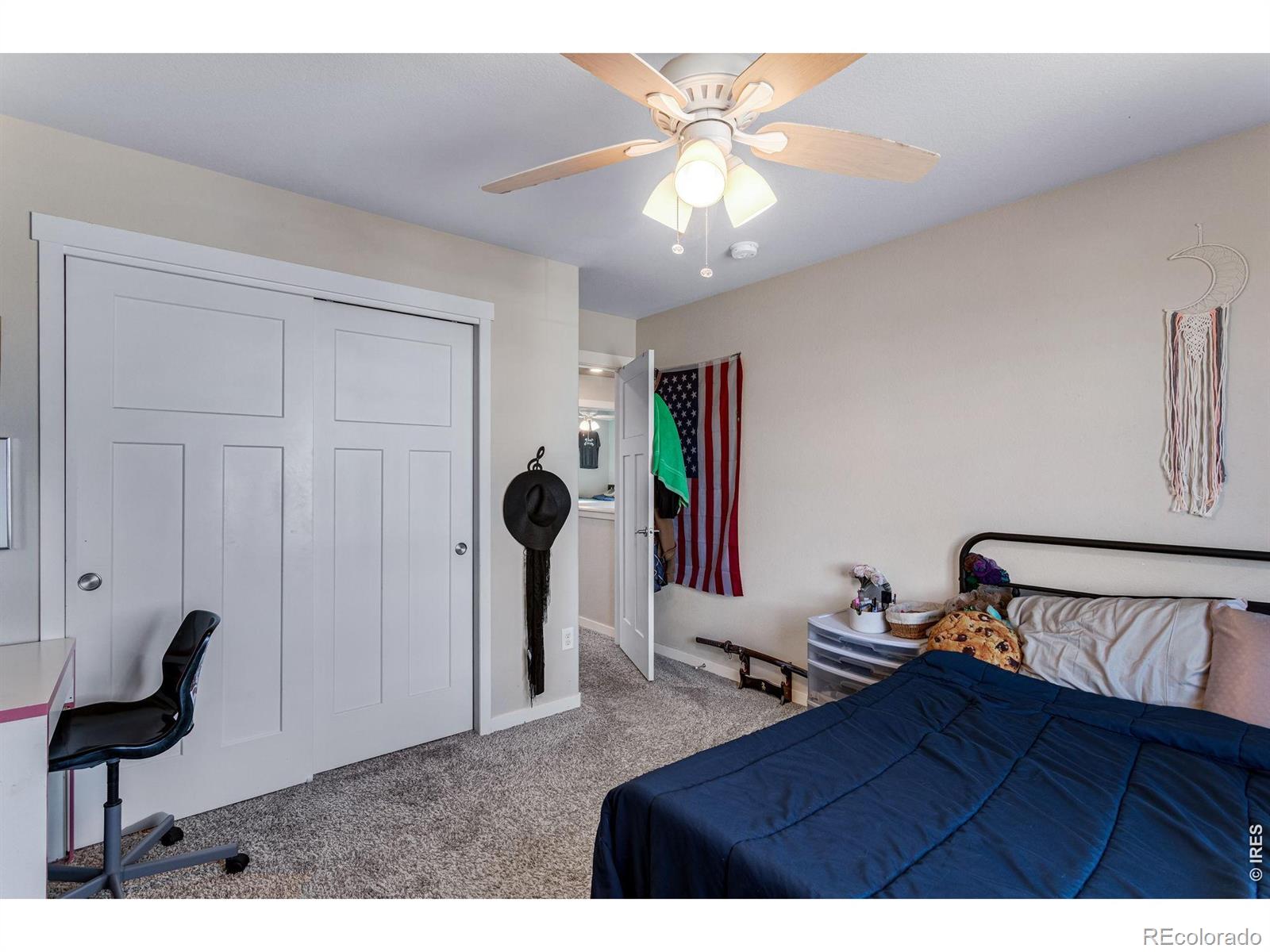 6913 Pettigrew Street Wellington CO 80549
