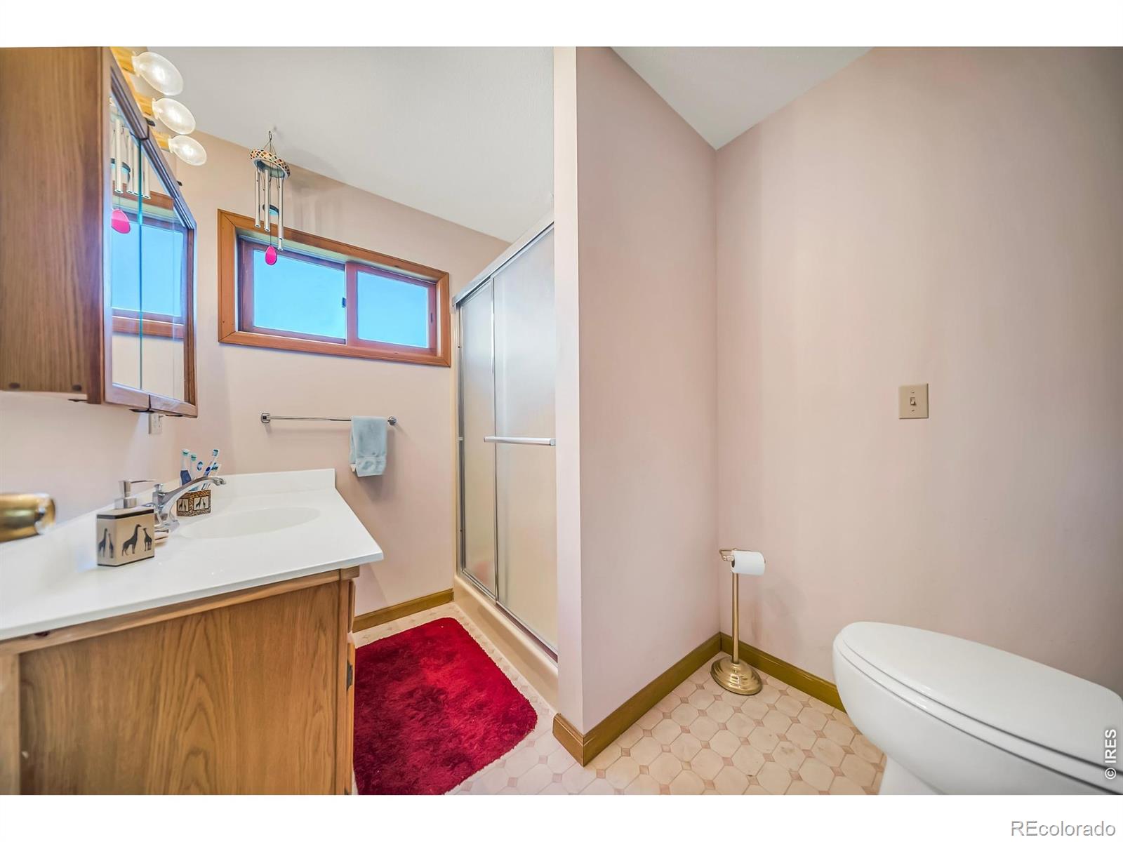 672 Garfield Street Walden CO 80480