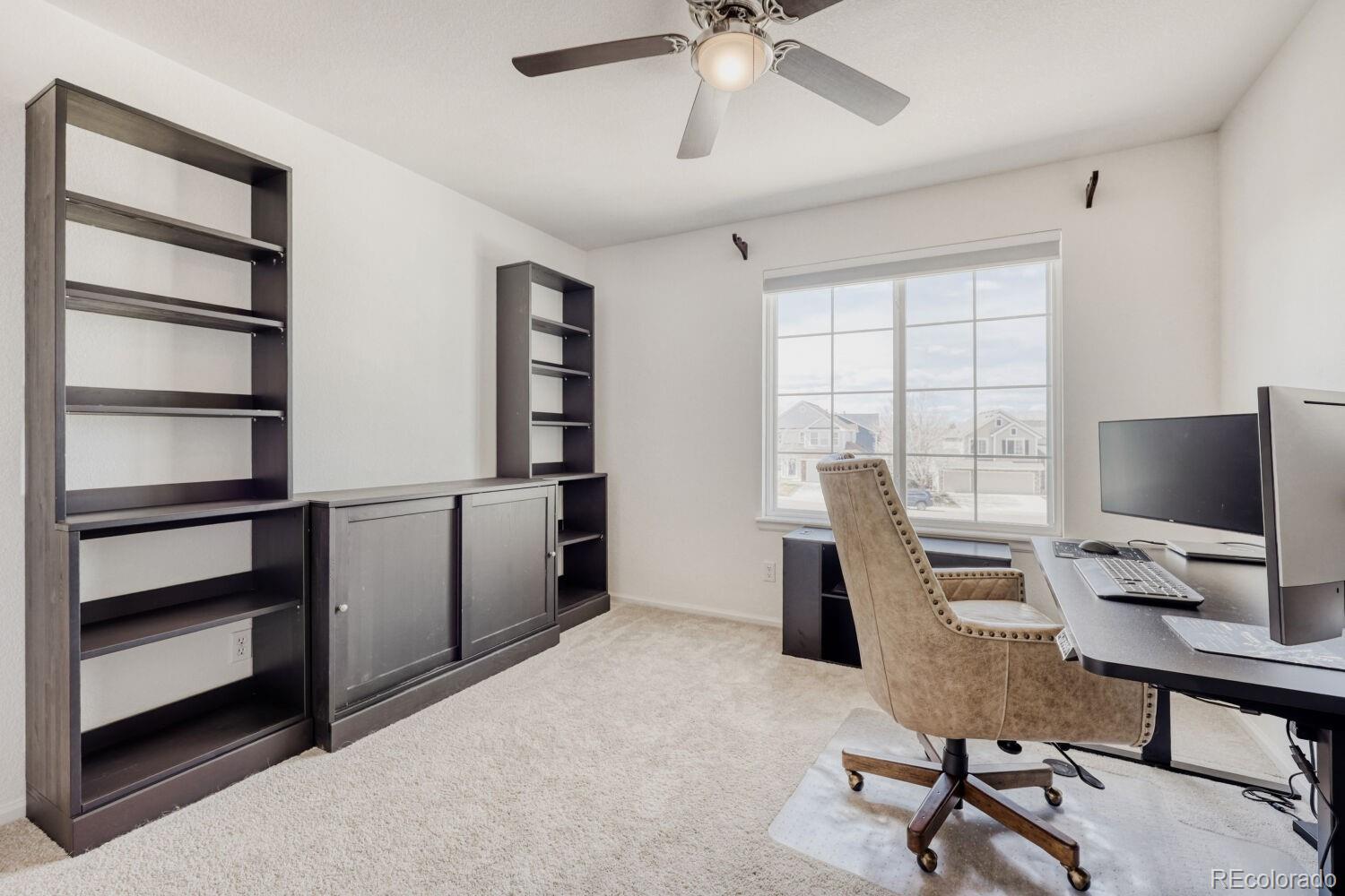 388 Hampstead Avenue Castle Rock CO 80104