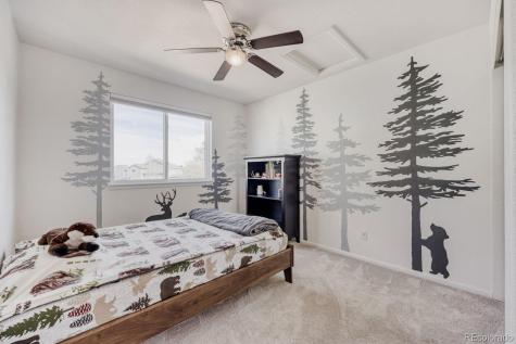 388 Hampstead Avenue Castle Rock CO 80104