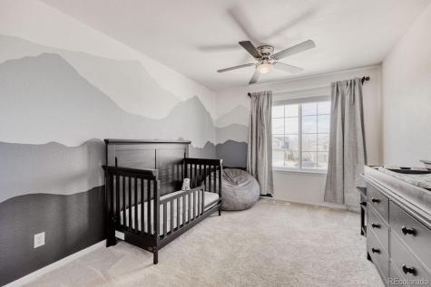 388 Hampstead Avenue Castle Rock CO 80104