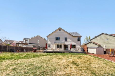 388 Hampstead Avenue Castle Rock CO 80104