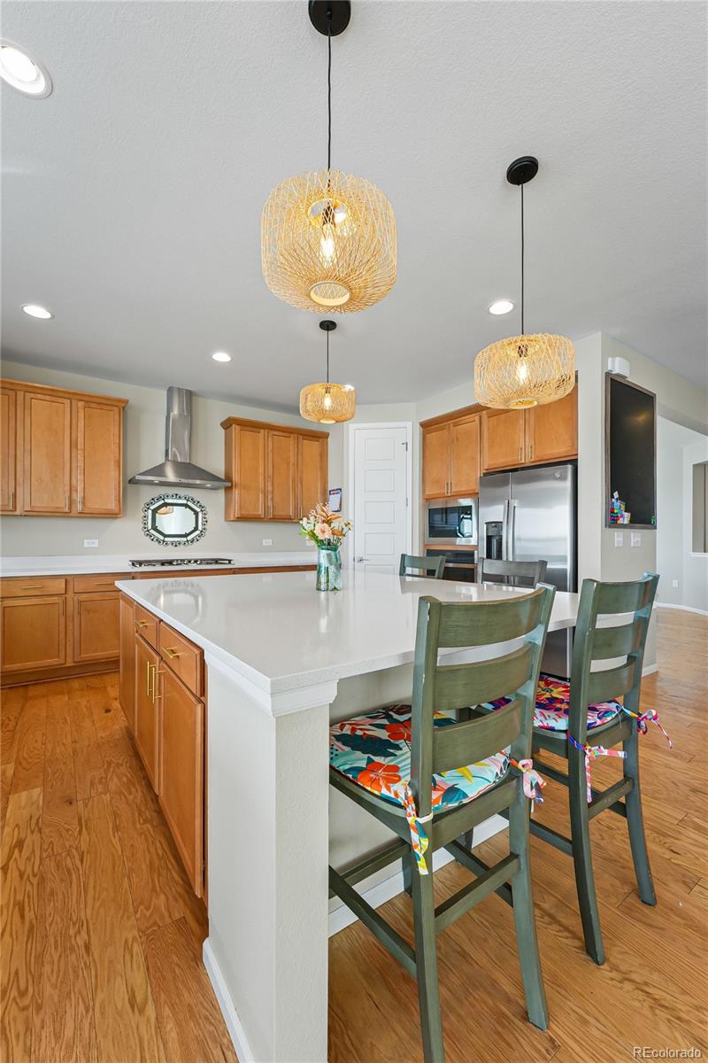 19240 E 96th Place Commerce City CO 80022