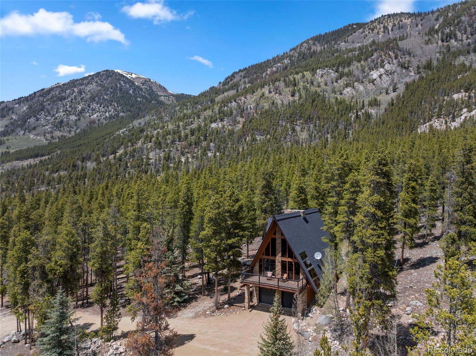 12715 E State Highway 82 Twin Lakes CO 81251