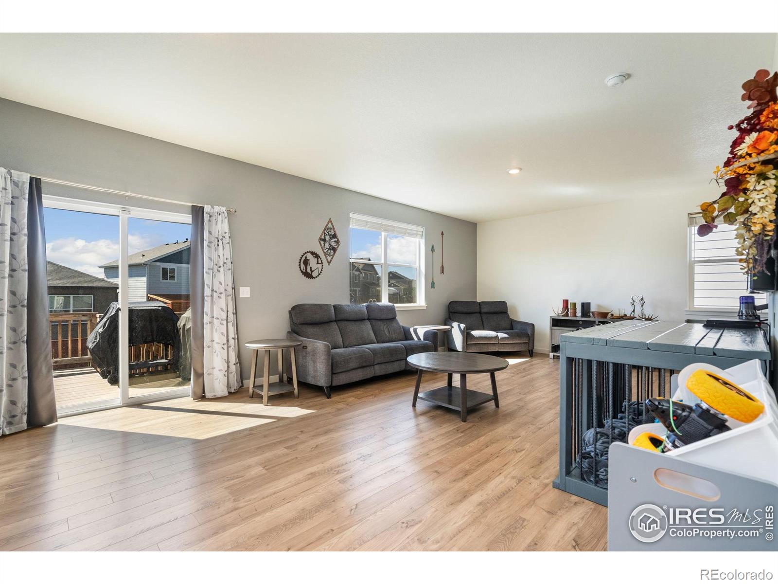 1233 Lily Mountain Road Severance CO 80550