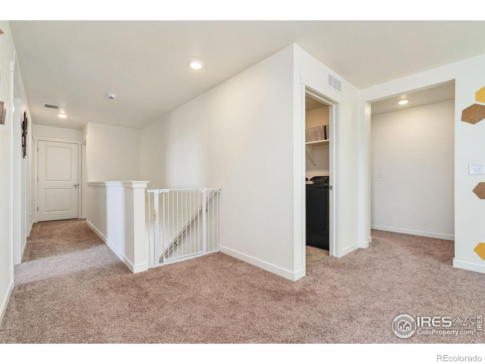 1233 Lily Mountain Road Severance CO 80550