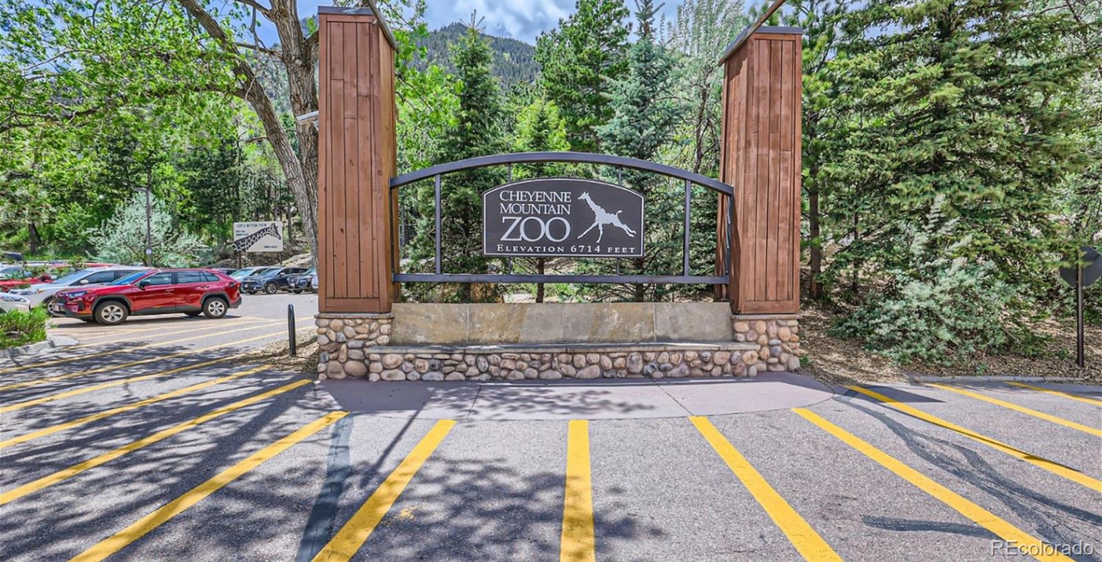 1154 Smiley Creek Point Colorado Springs CO 80904