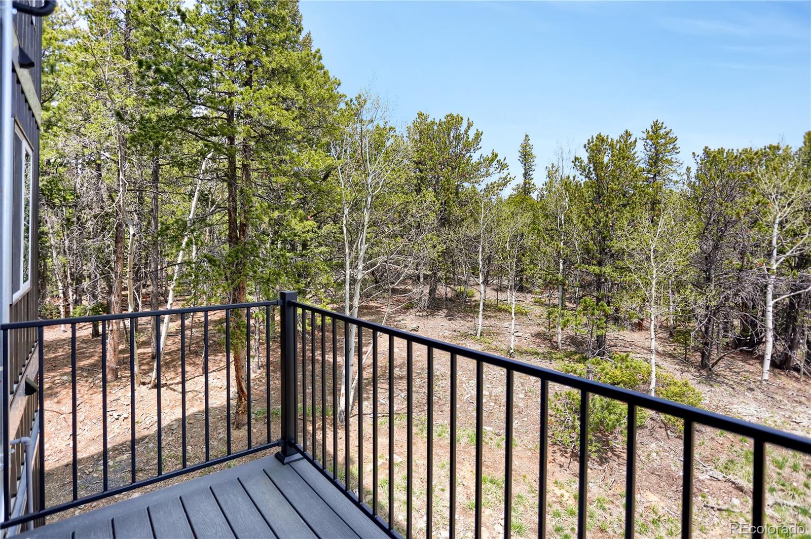 586 Alpine Way Idaho Springs CO 80452
