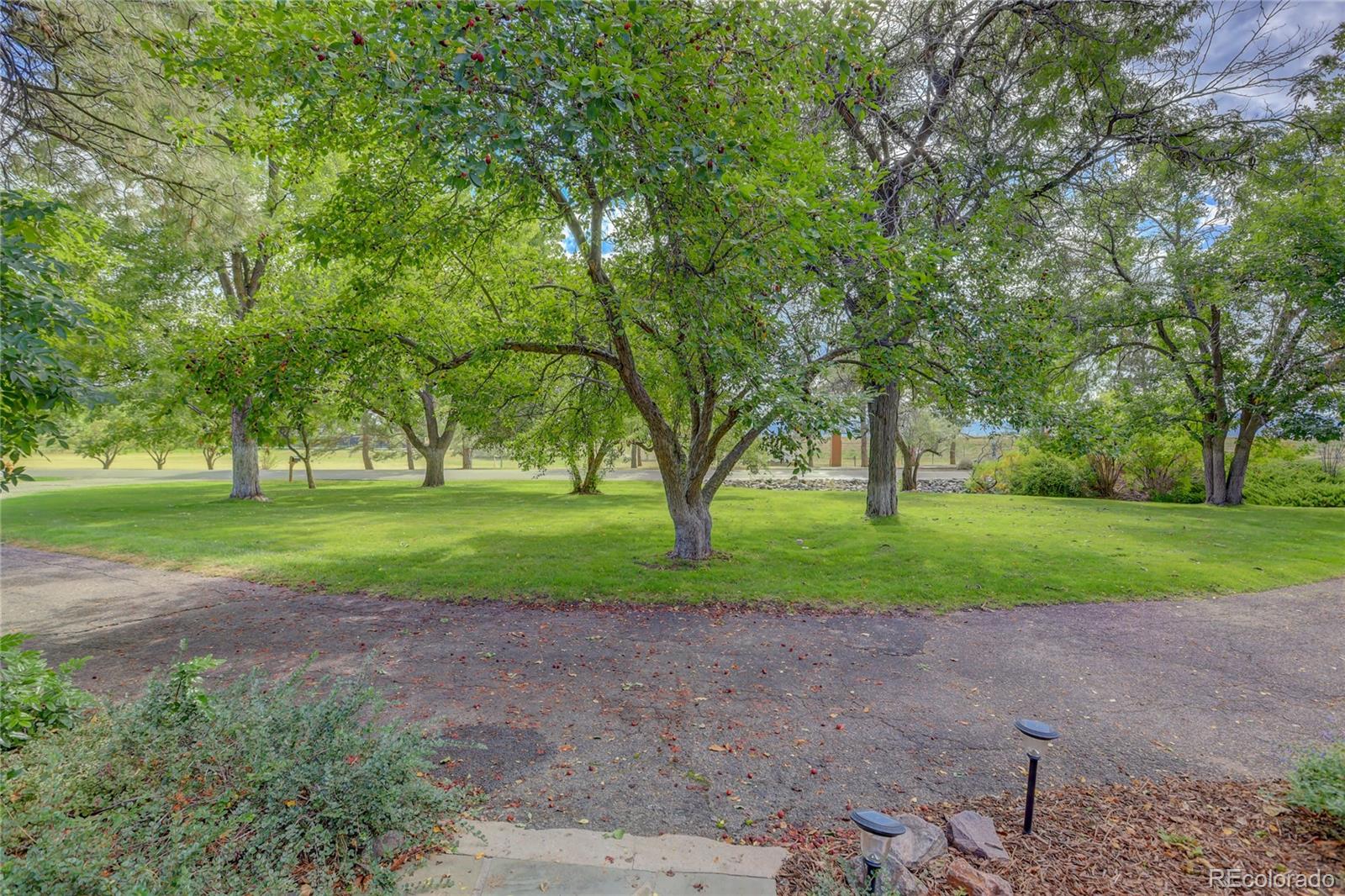 4815 Bow Mar Drive Littleton CO 80123