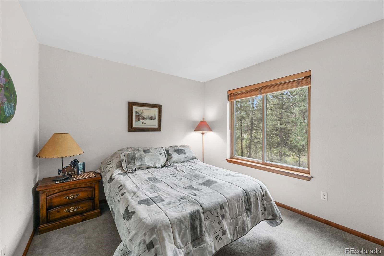 12650 Elk Haven Lane Conifer CO 80433