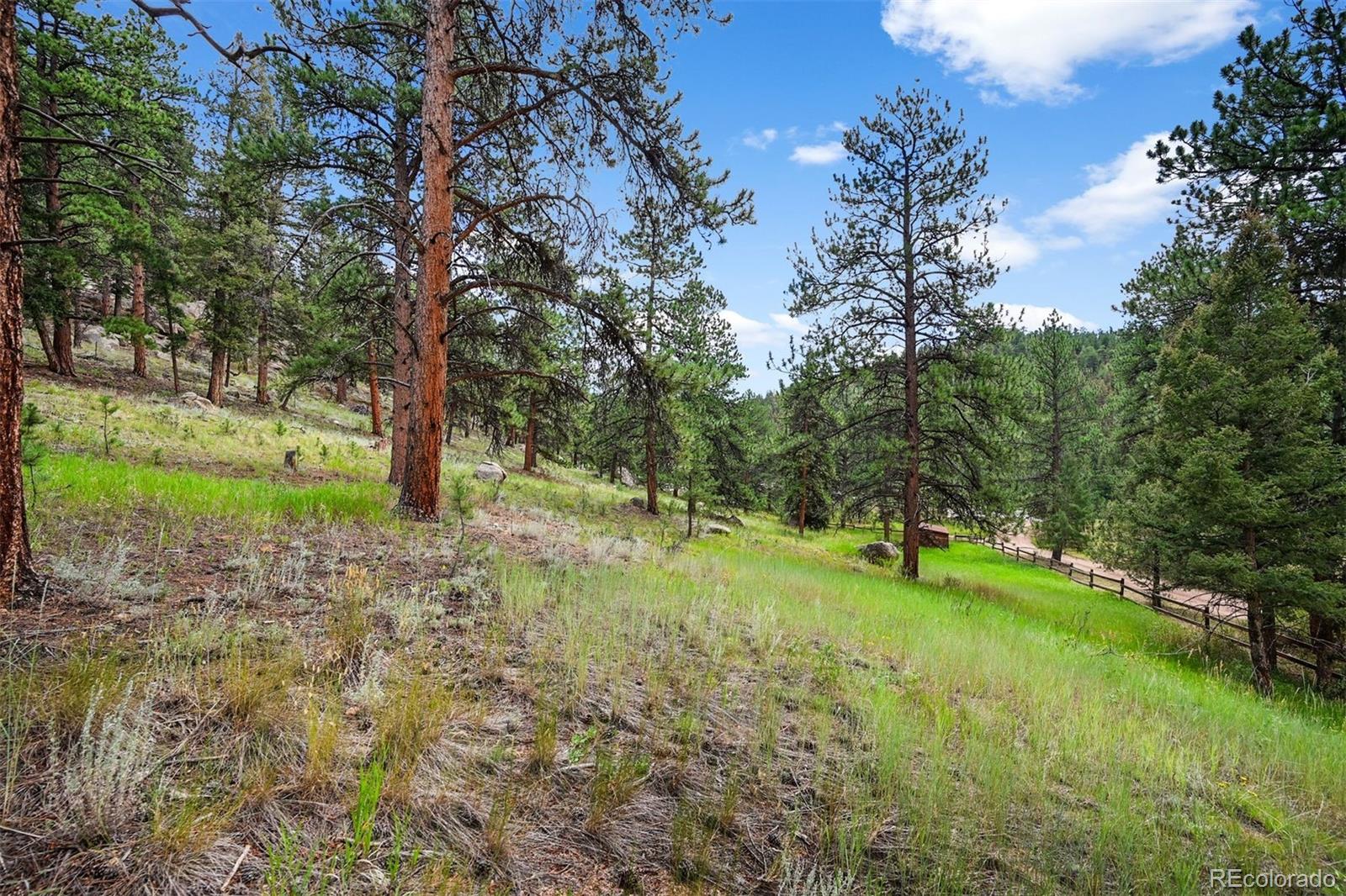 12650 Elk Haven Lane Conifer CO 80433