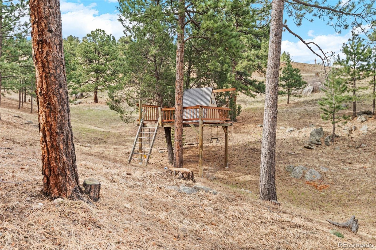 33208 Alta Vista Drive Evergreen CO 80439