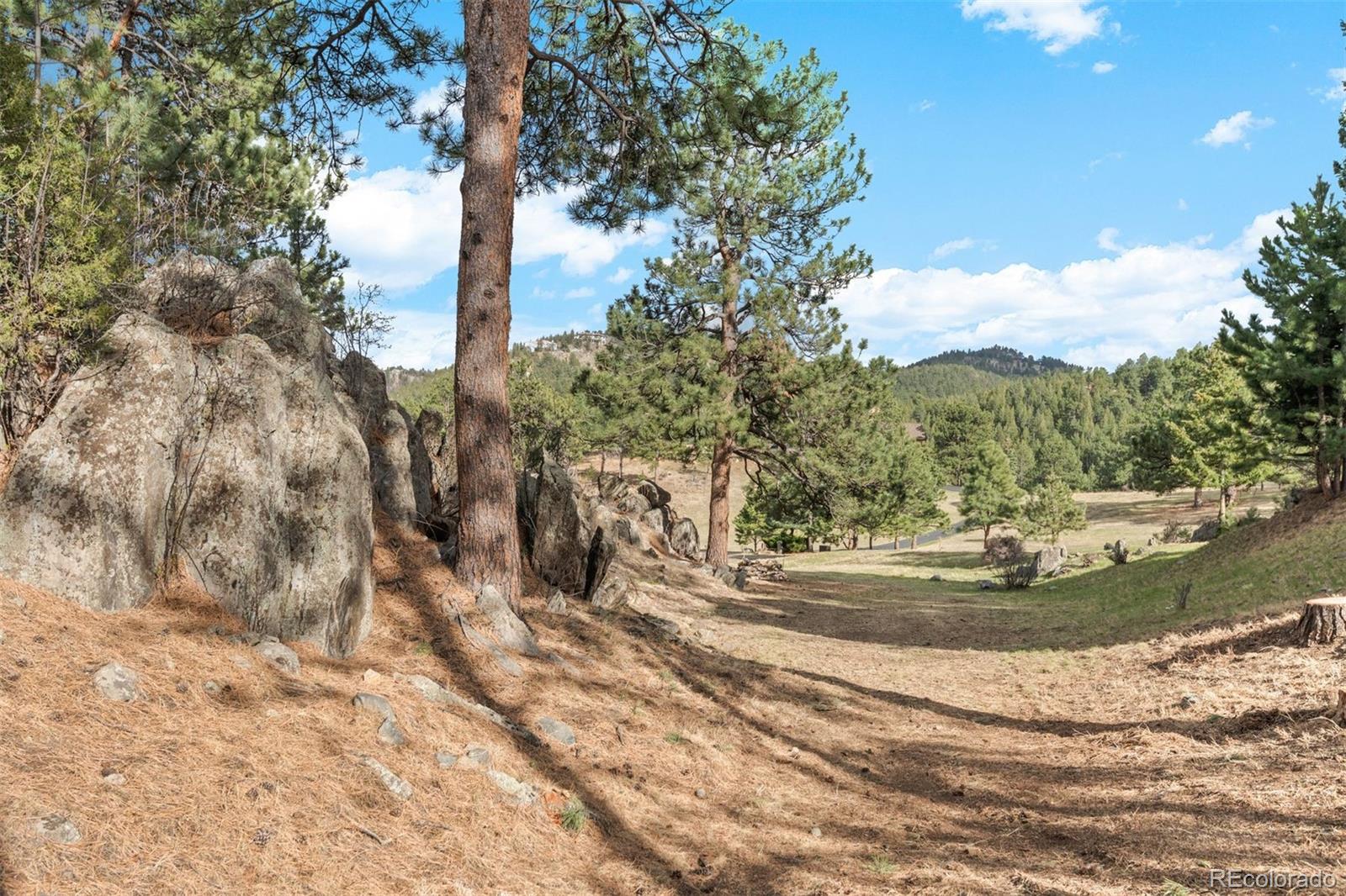 33208 Alta Vista Drive Evergreen CO 80439