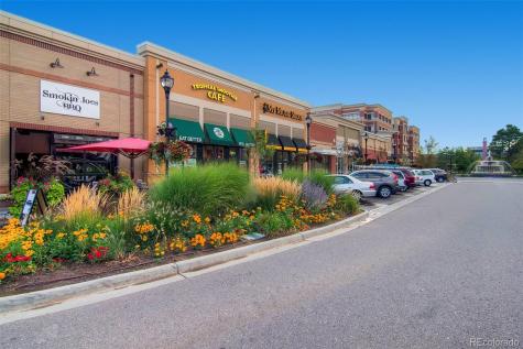 8756 Aberdeen Circle Highlands Ranch CO 80130
