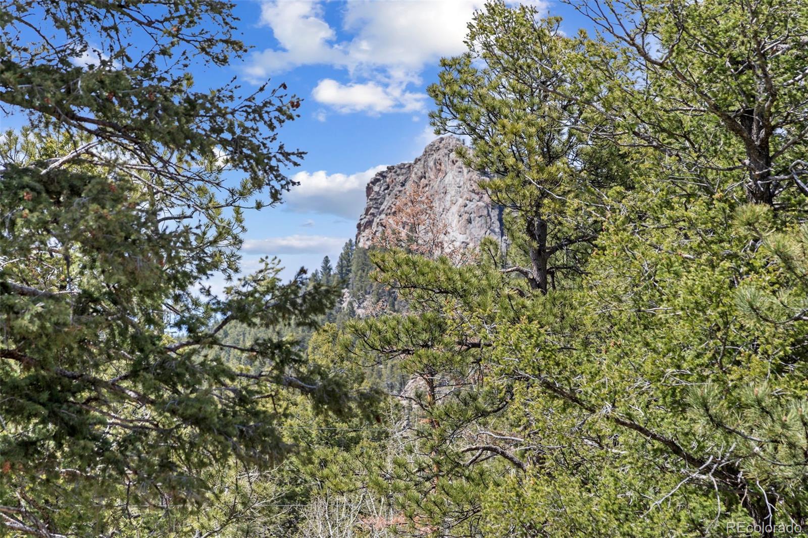 23971 Mormon Drive Conifer CO 80433