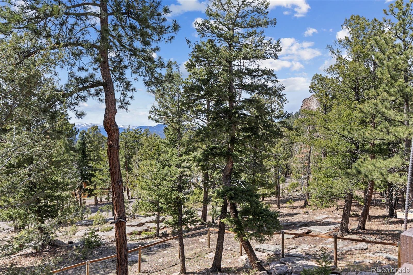 23971 Mormon Drive Conifer CO 80433
