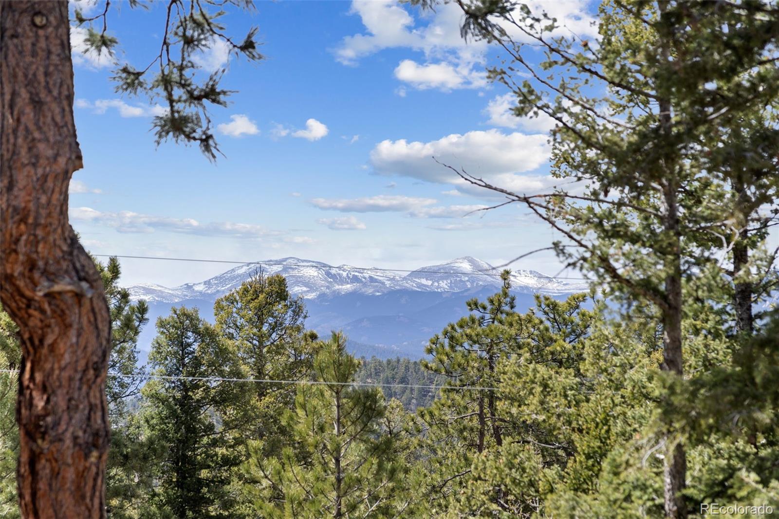 23971 Mormon Drive Conifer CO 80433