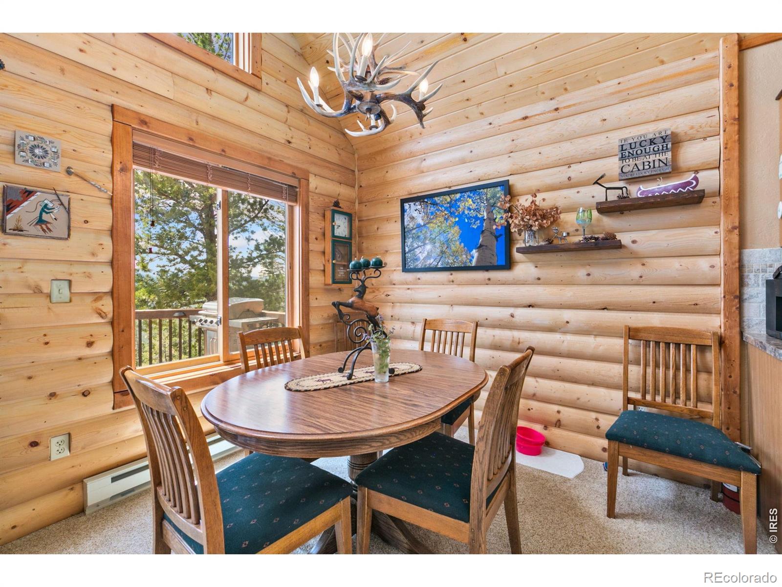 1255 Jicarilla Trail Red Feather Lakes CO 80545
