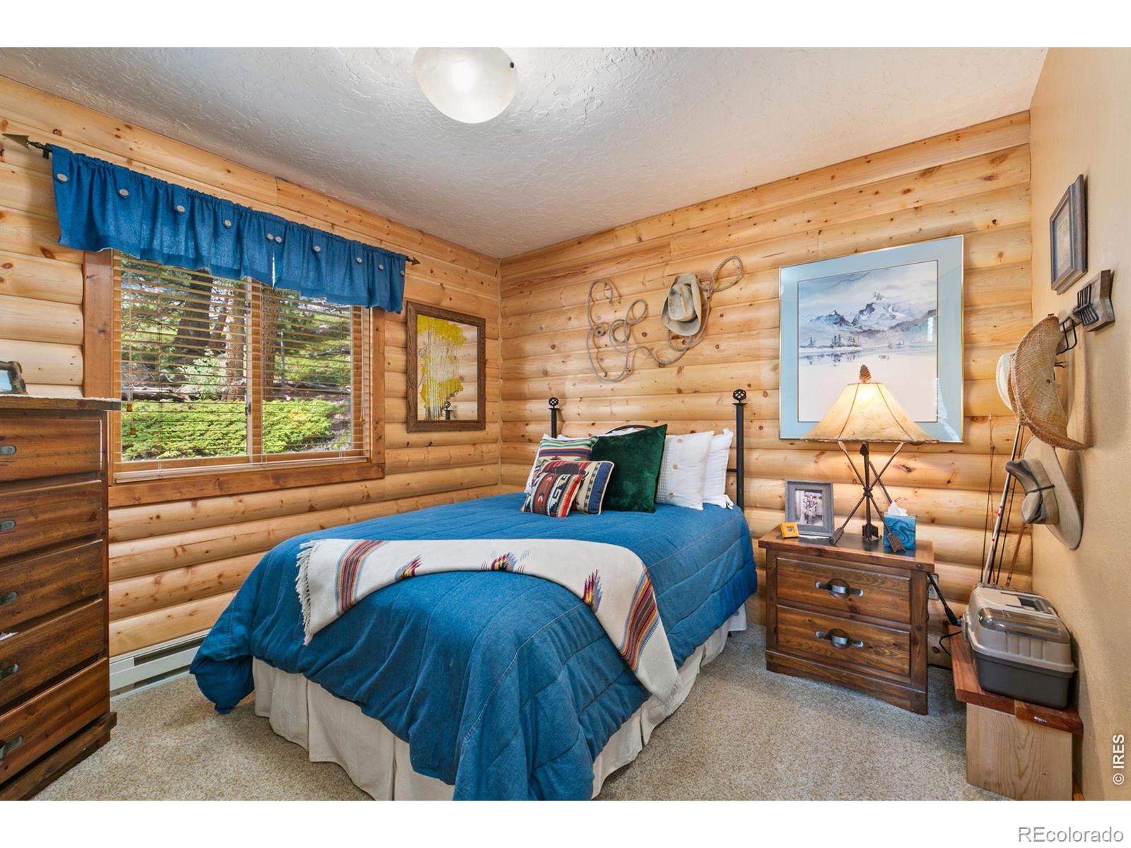 1255 Jicarilla Trail Red Feather Lakes CO 80545