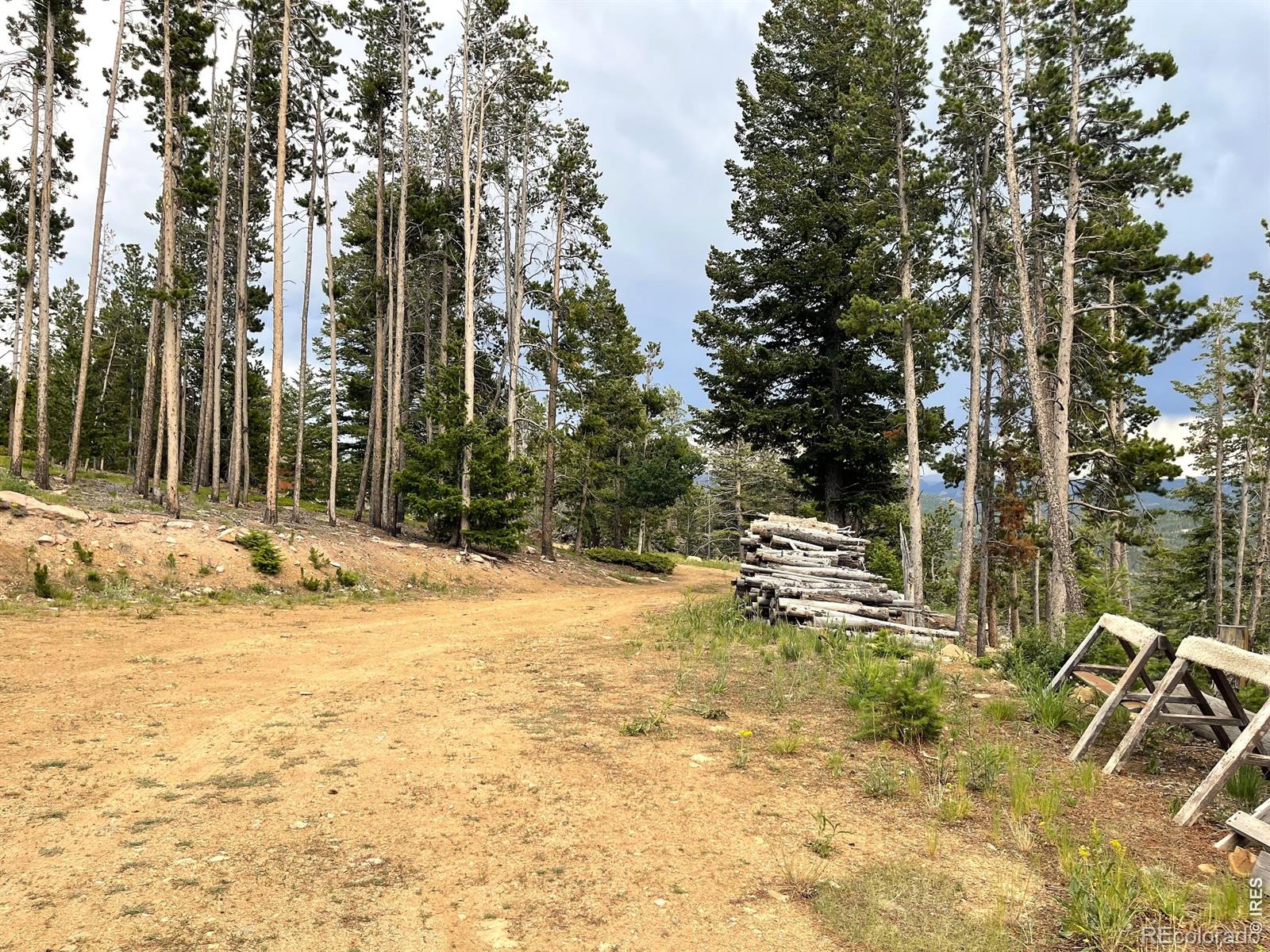 1255 Jicarilla Trail Red Feather Lakes CO 80545