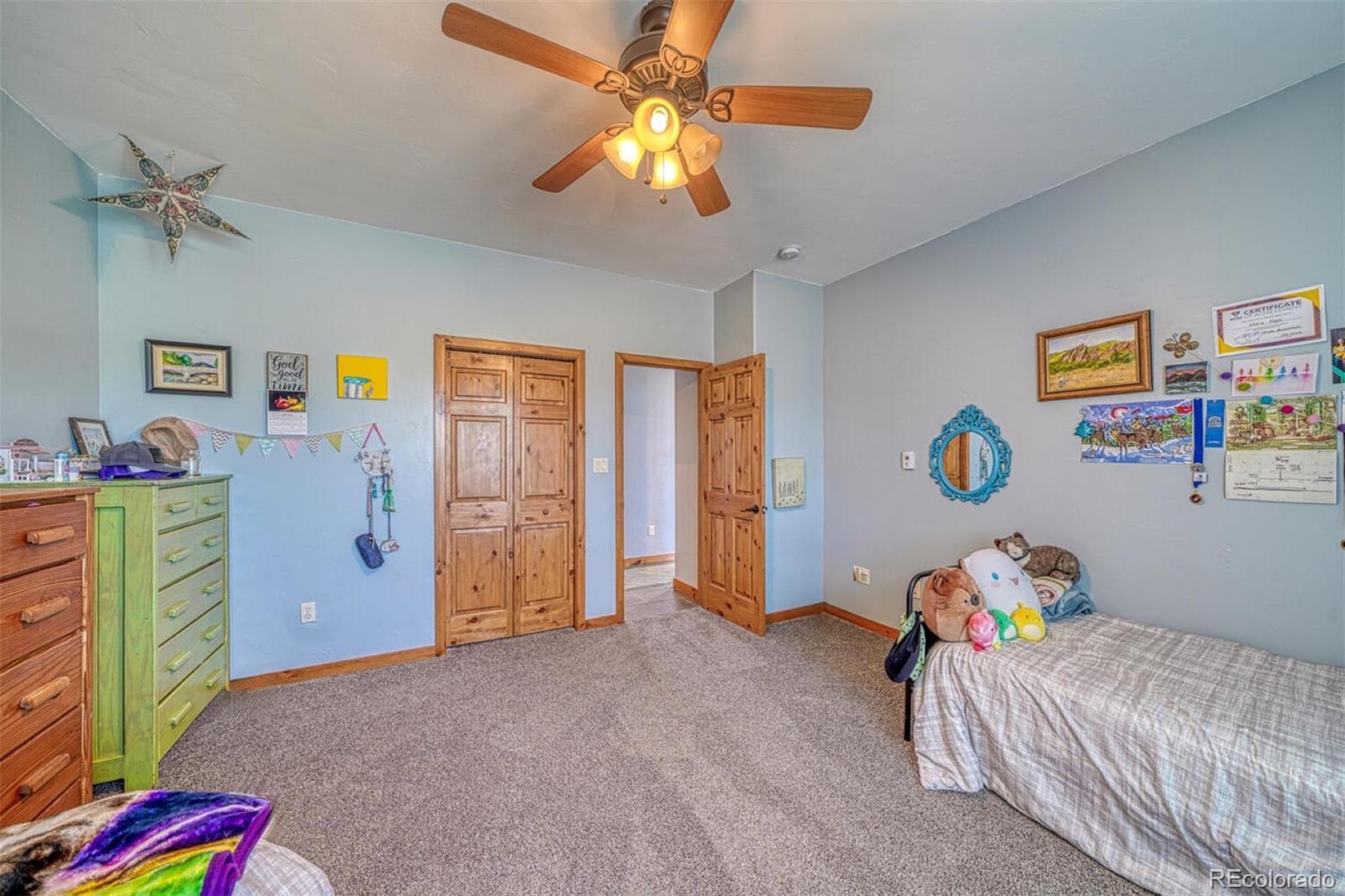 10757 Vista Farms Court Salida CO 81201