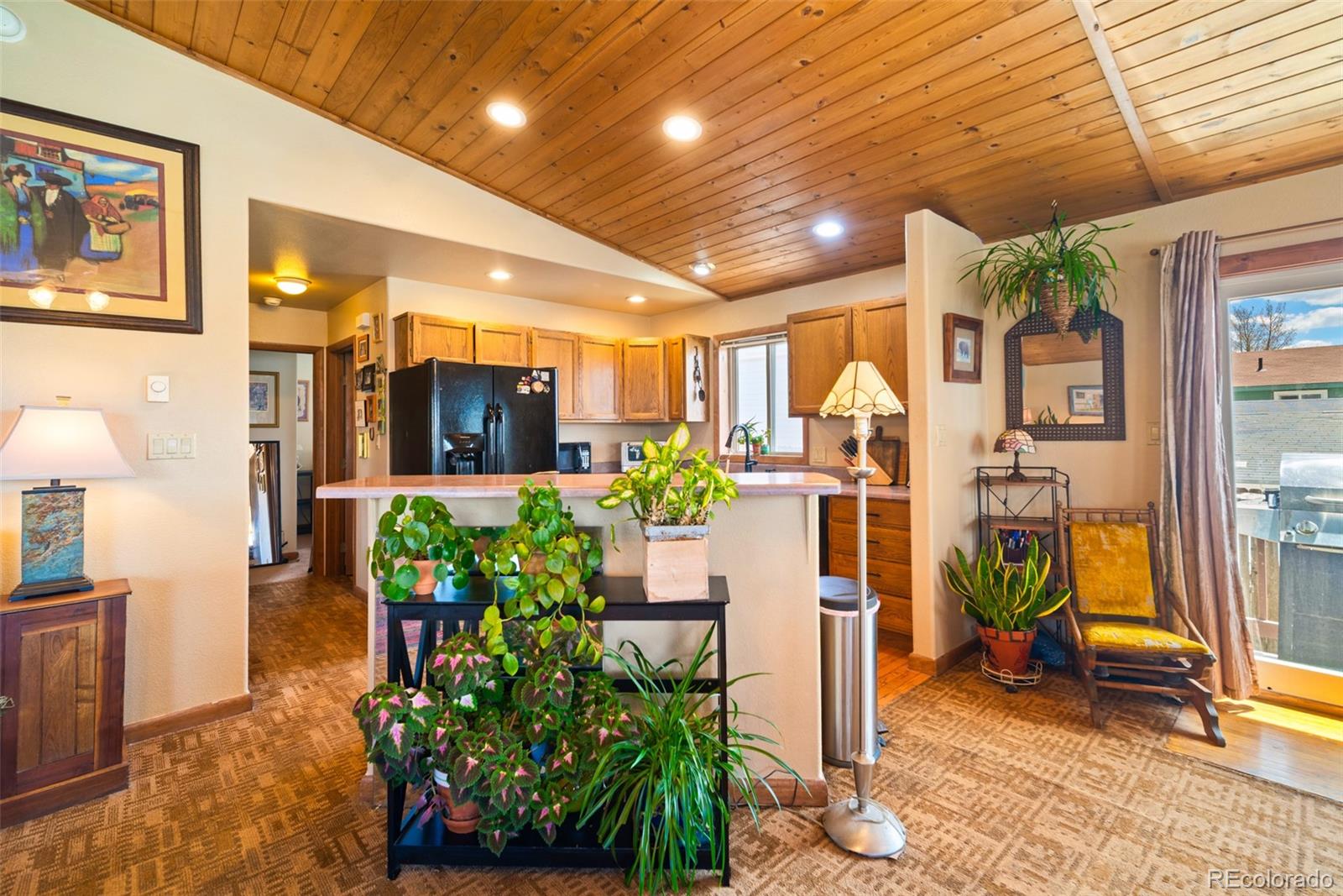 740 Castello Avenue Fairplay CO 80440