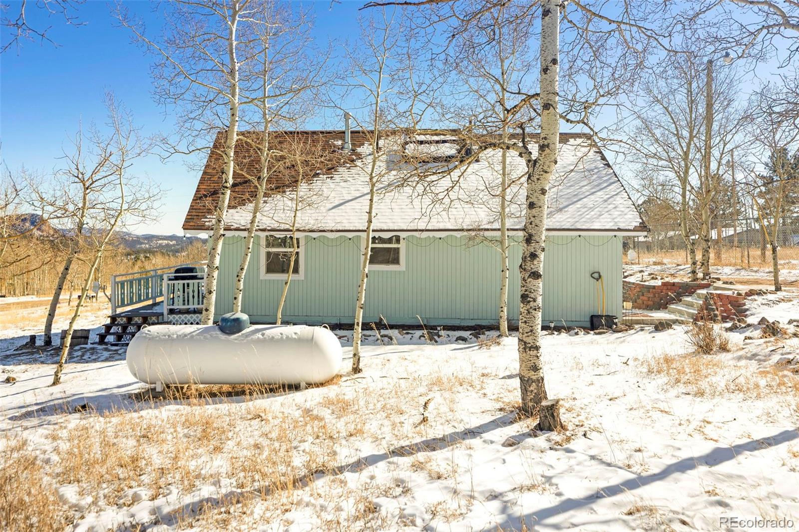 560 S Pine Drive Bailey CO 80421