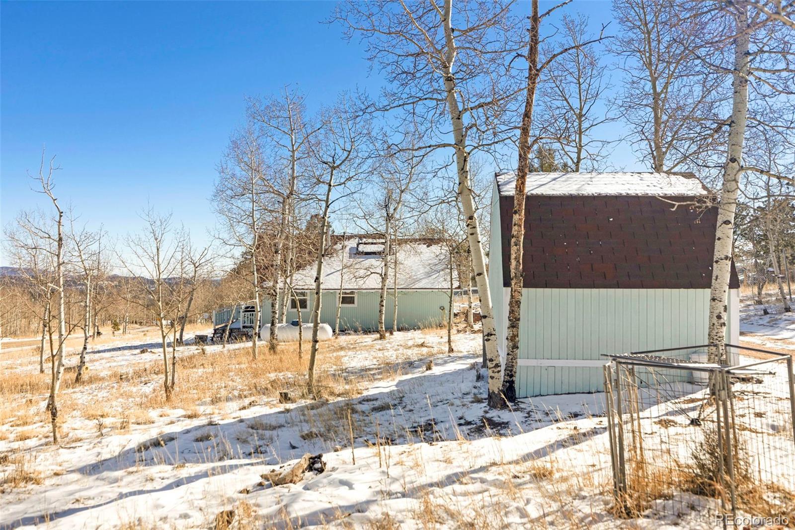 560 S Pine Drive Bailey CO 80421