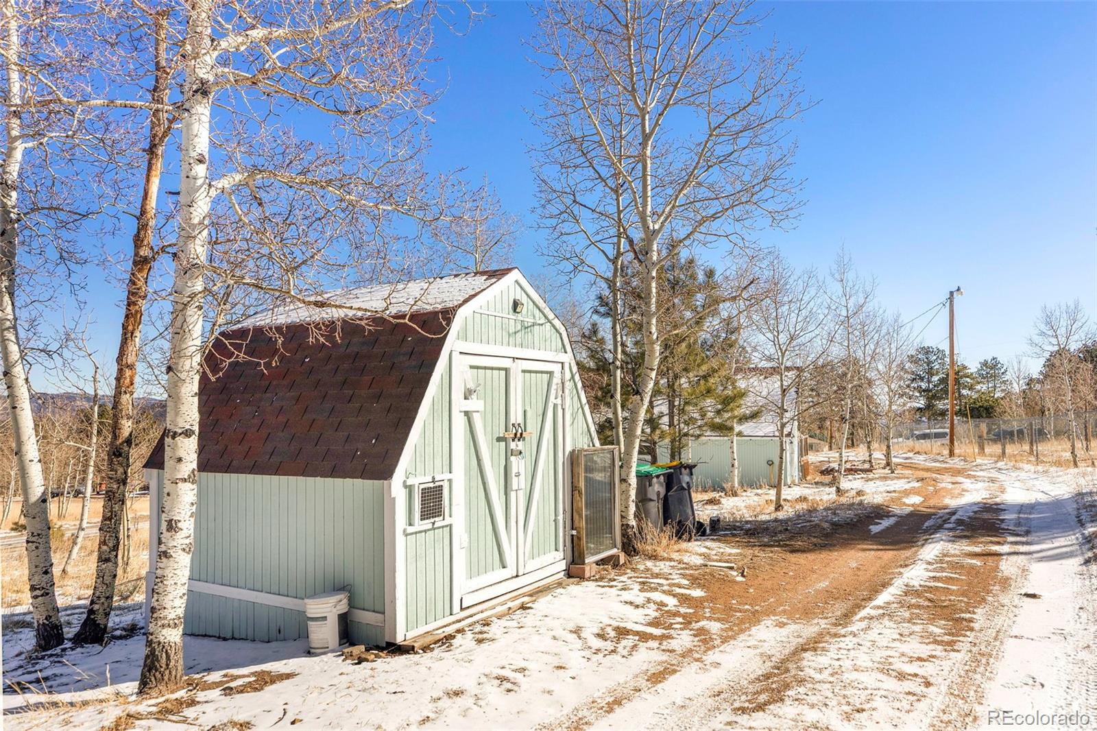 560 S Pine Drive Bailey CO 80421