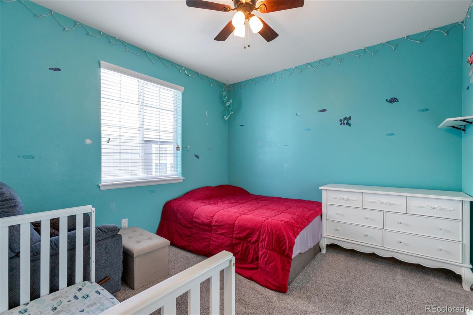 2990 Echo Park Drive Castle Rock CO 80104