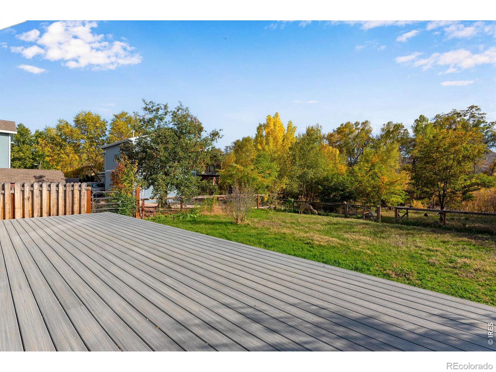 217 Park Street Lyons CO 80540