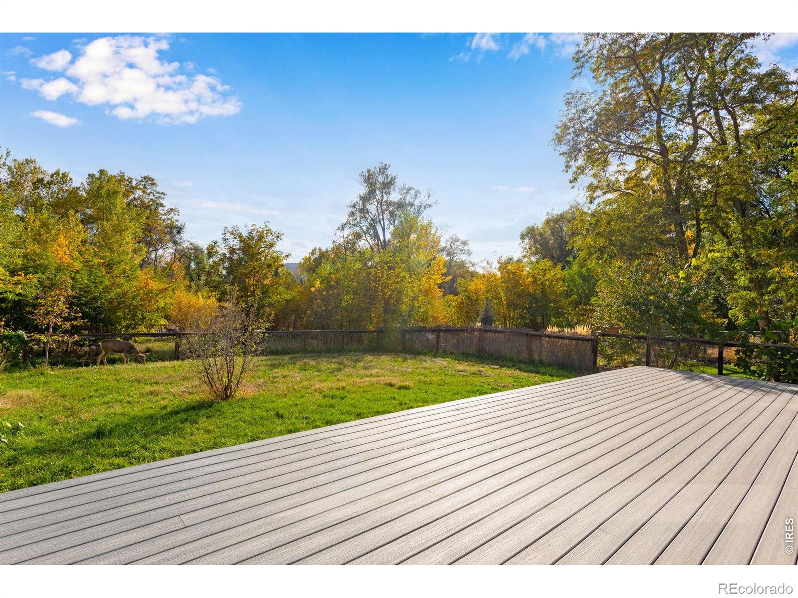217 Park Street Lyons CO 80540