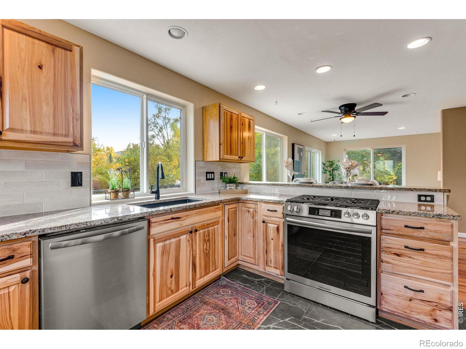 217 Park Street Lyons CO 80540