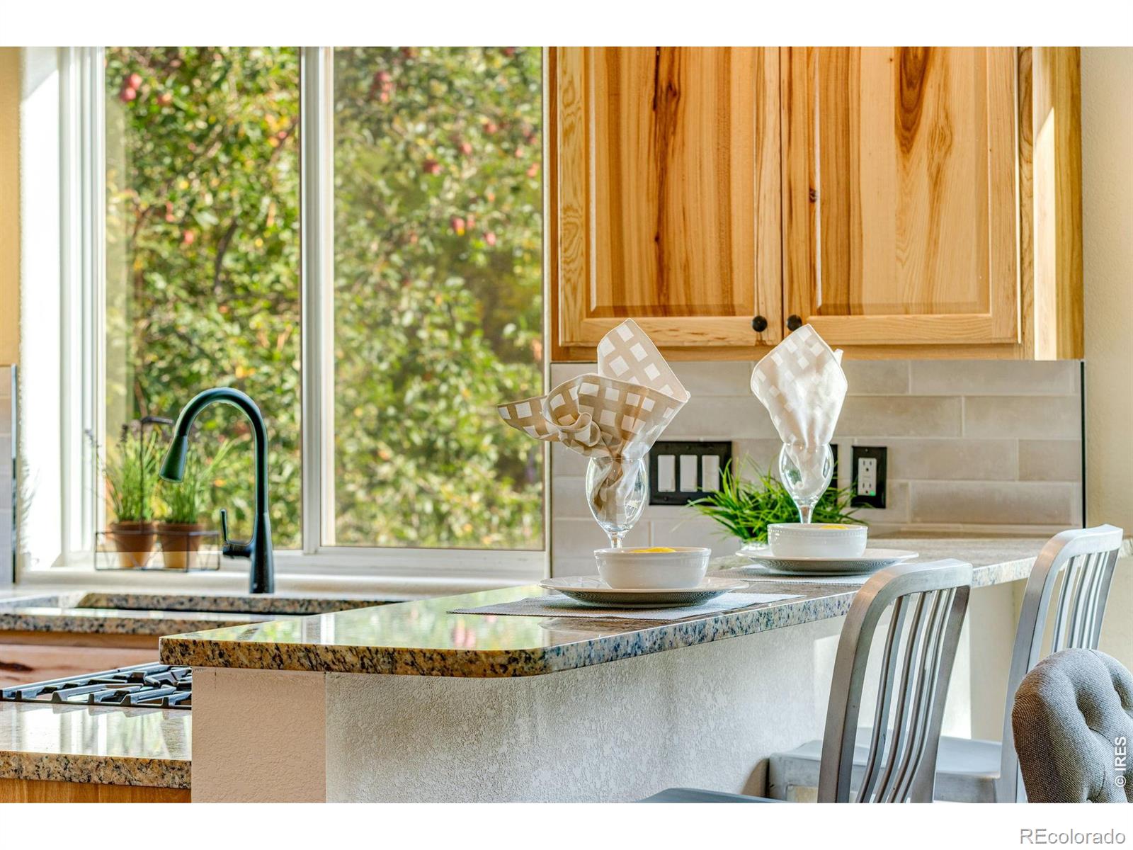 217 Park Street Lyons CO 80540
