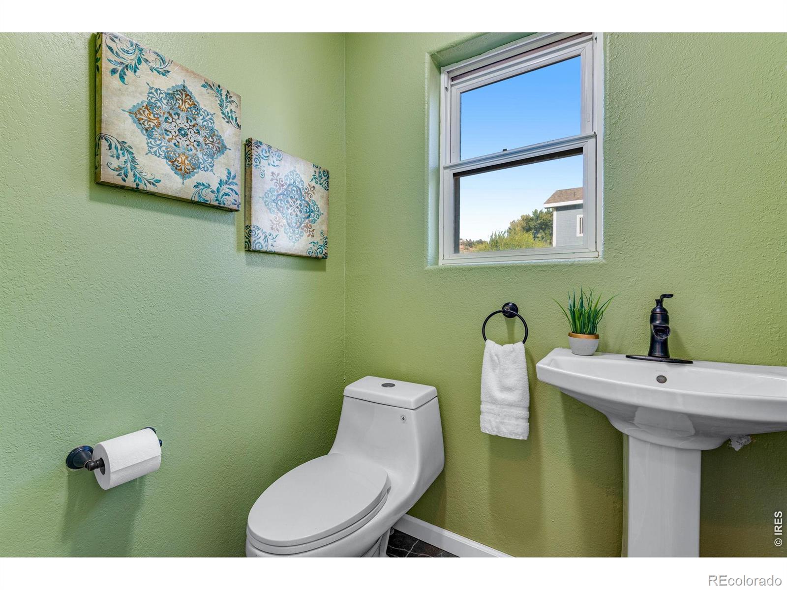 217 Park Street Lyons CO 80540