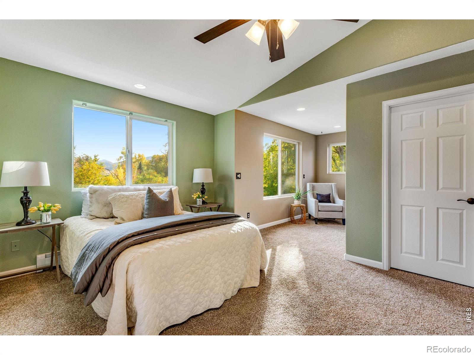 217 Park Street Lyons CO 80540
