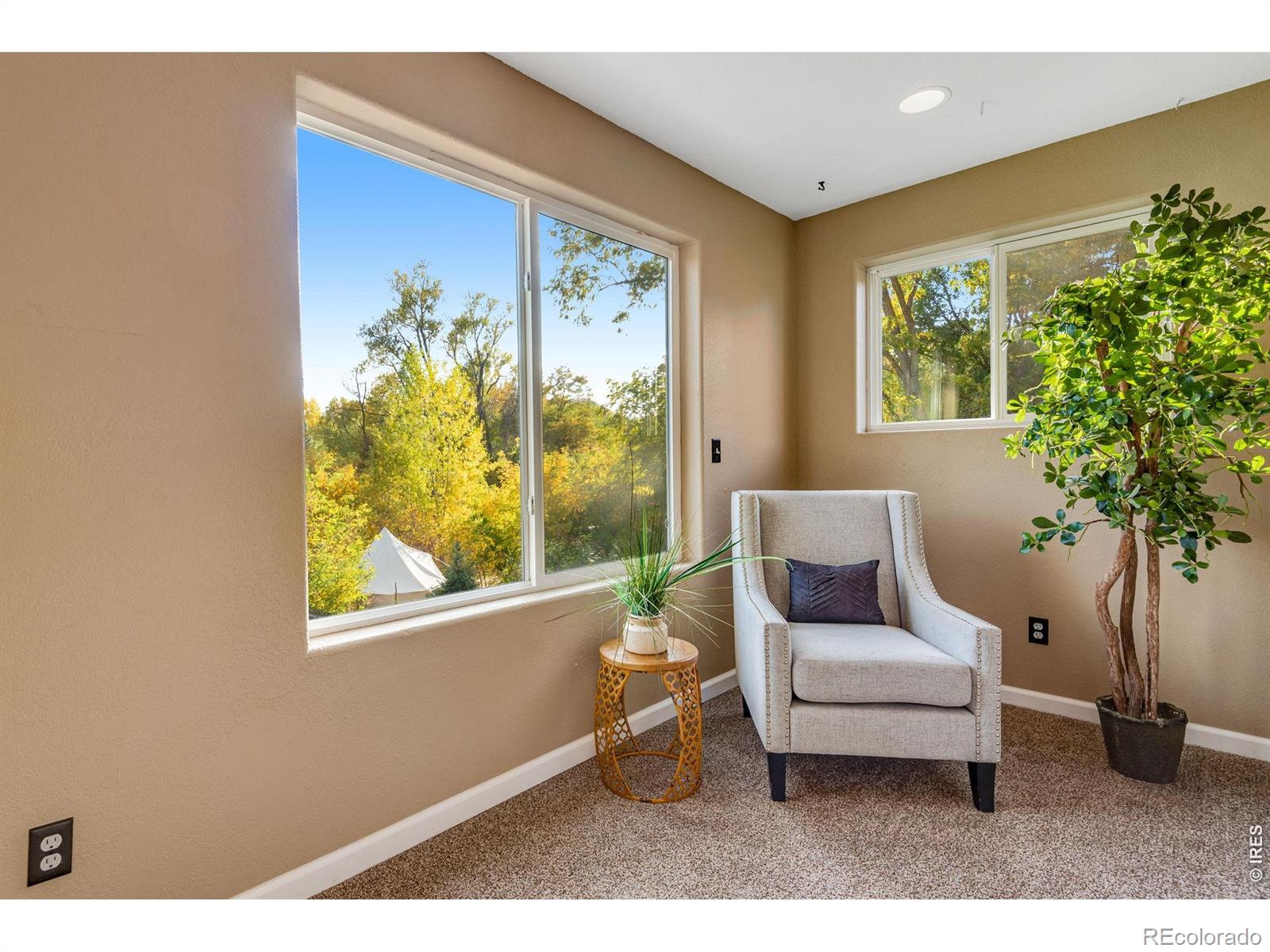 217 Park Street Lyons CO 80540