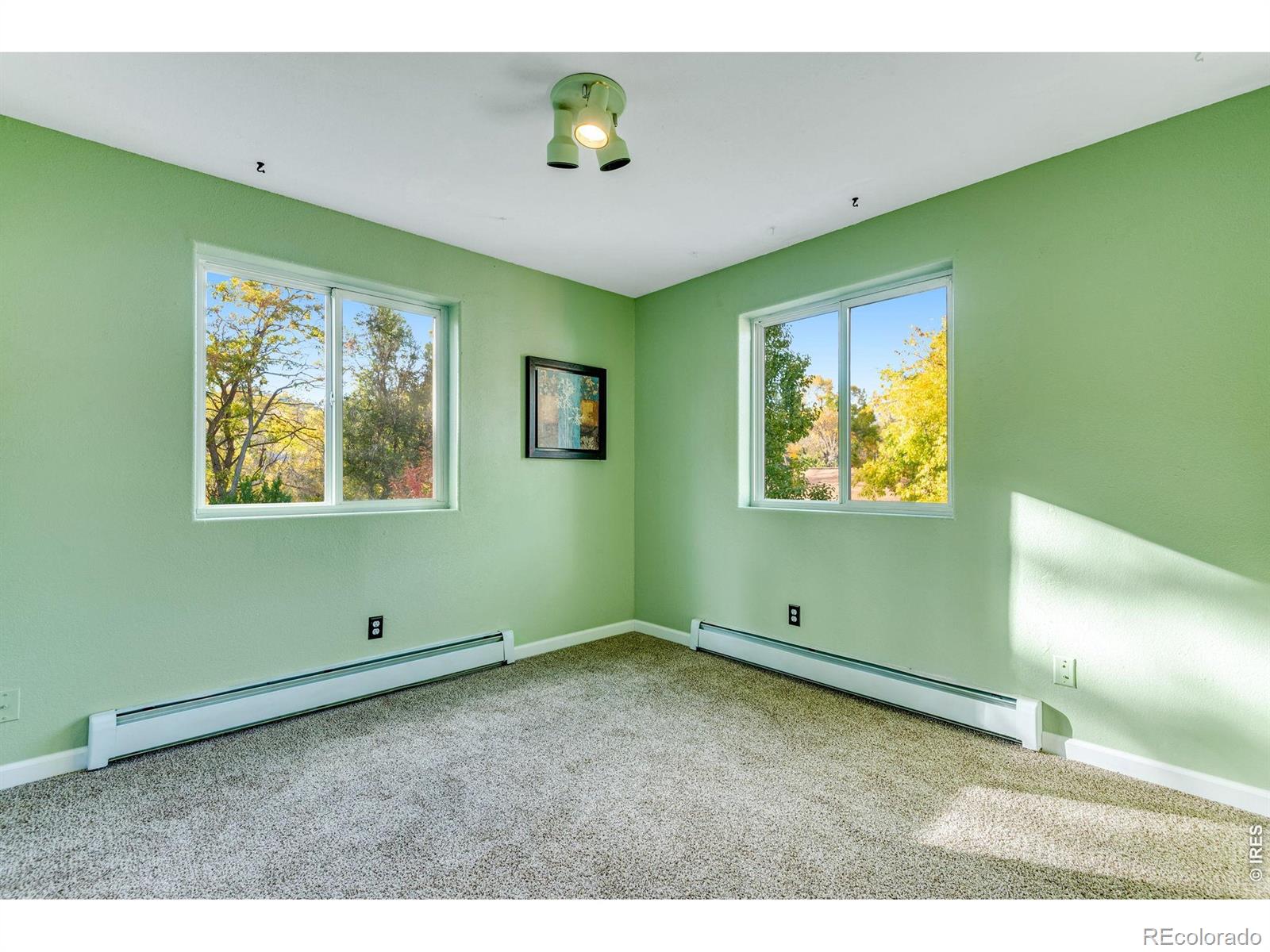 217 Park Street Lyons CO 80540