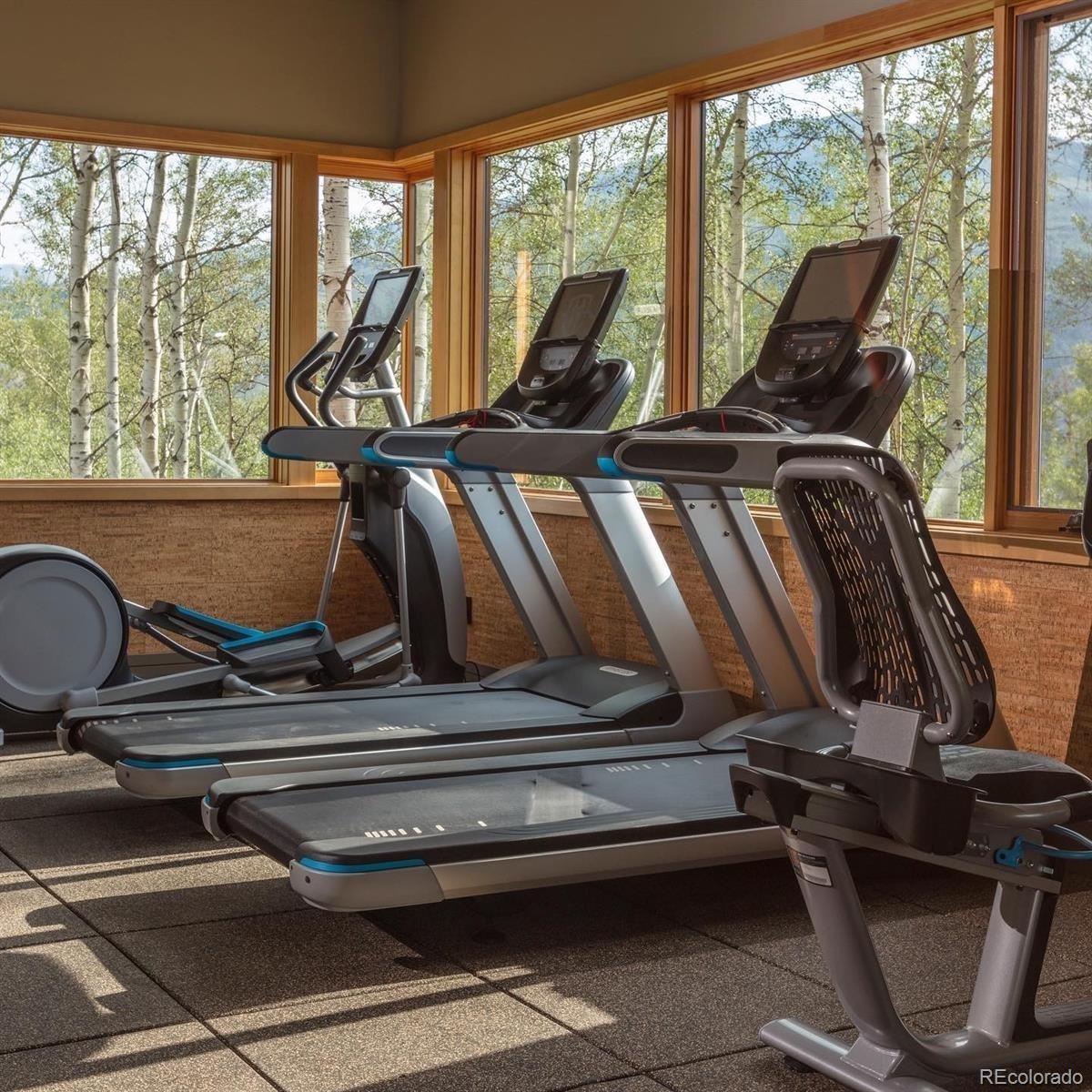 53 Hargrove Way Silverthorne CO 80498
