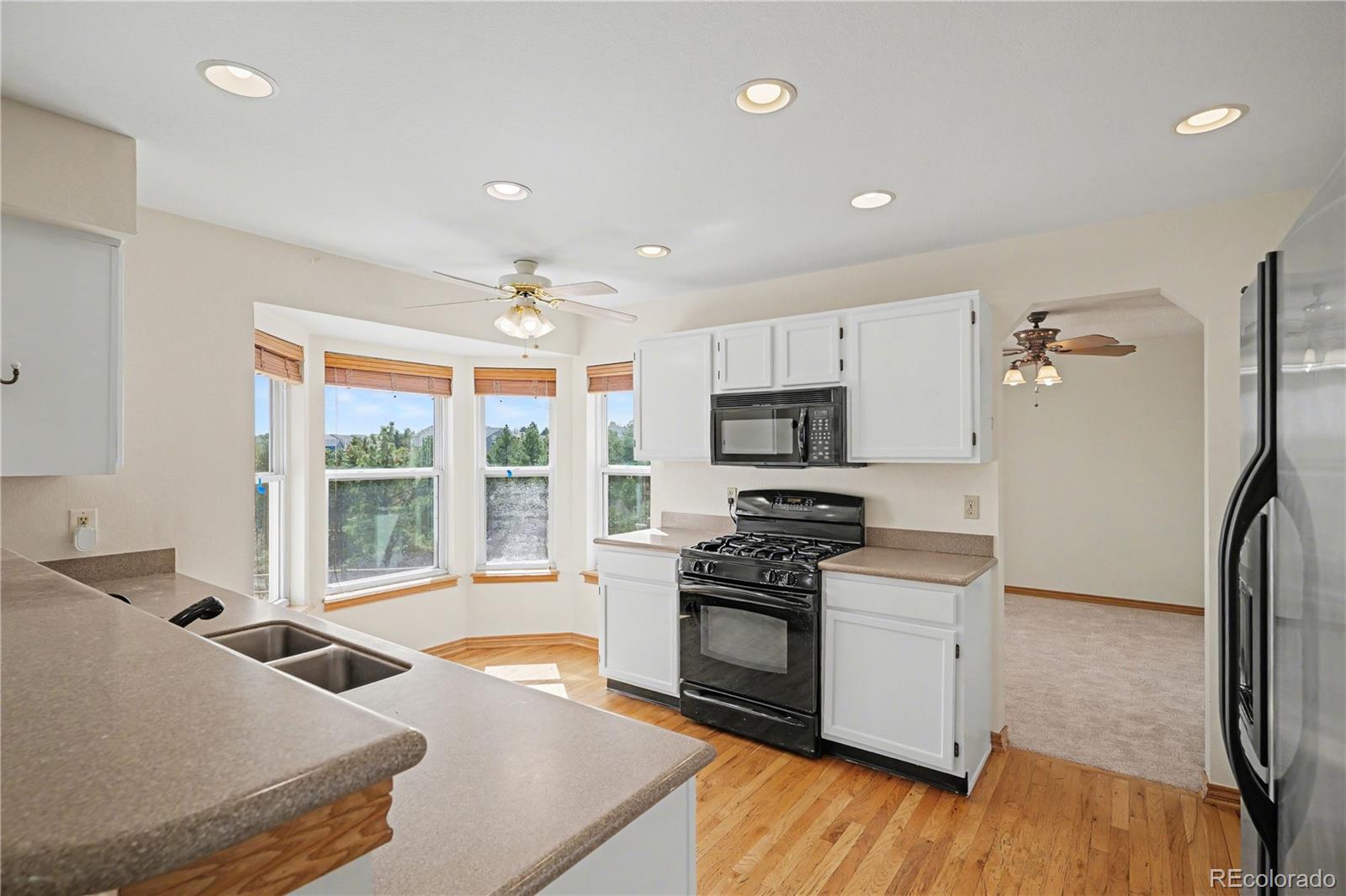 1010 N Tabor Drive Castle Rock CO 80104