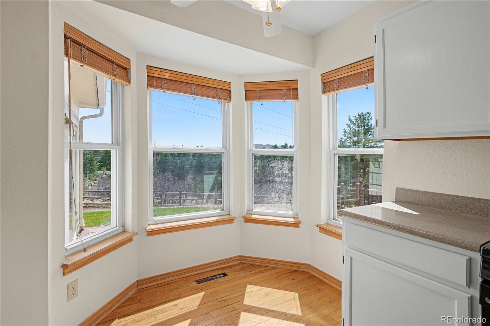 1010 N Tabor Drive Castle Rock CO 80104