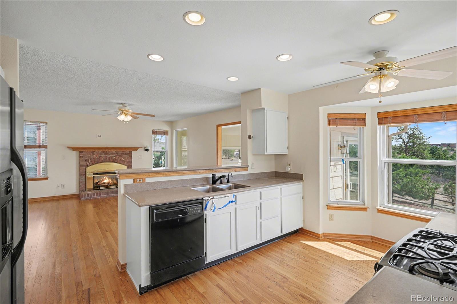 1010 N Tabor Drive Castle Rock CO 80104
