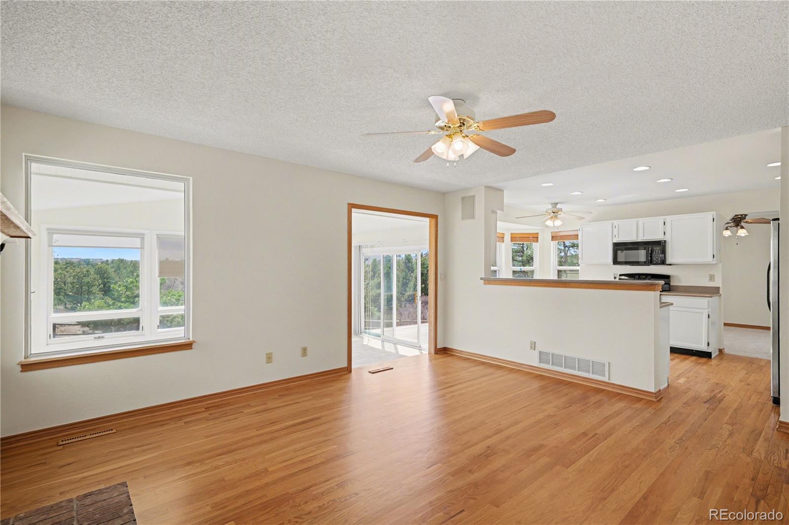 1010 N Tabor Drive Castle Rock CO 80104
