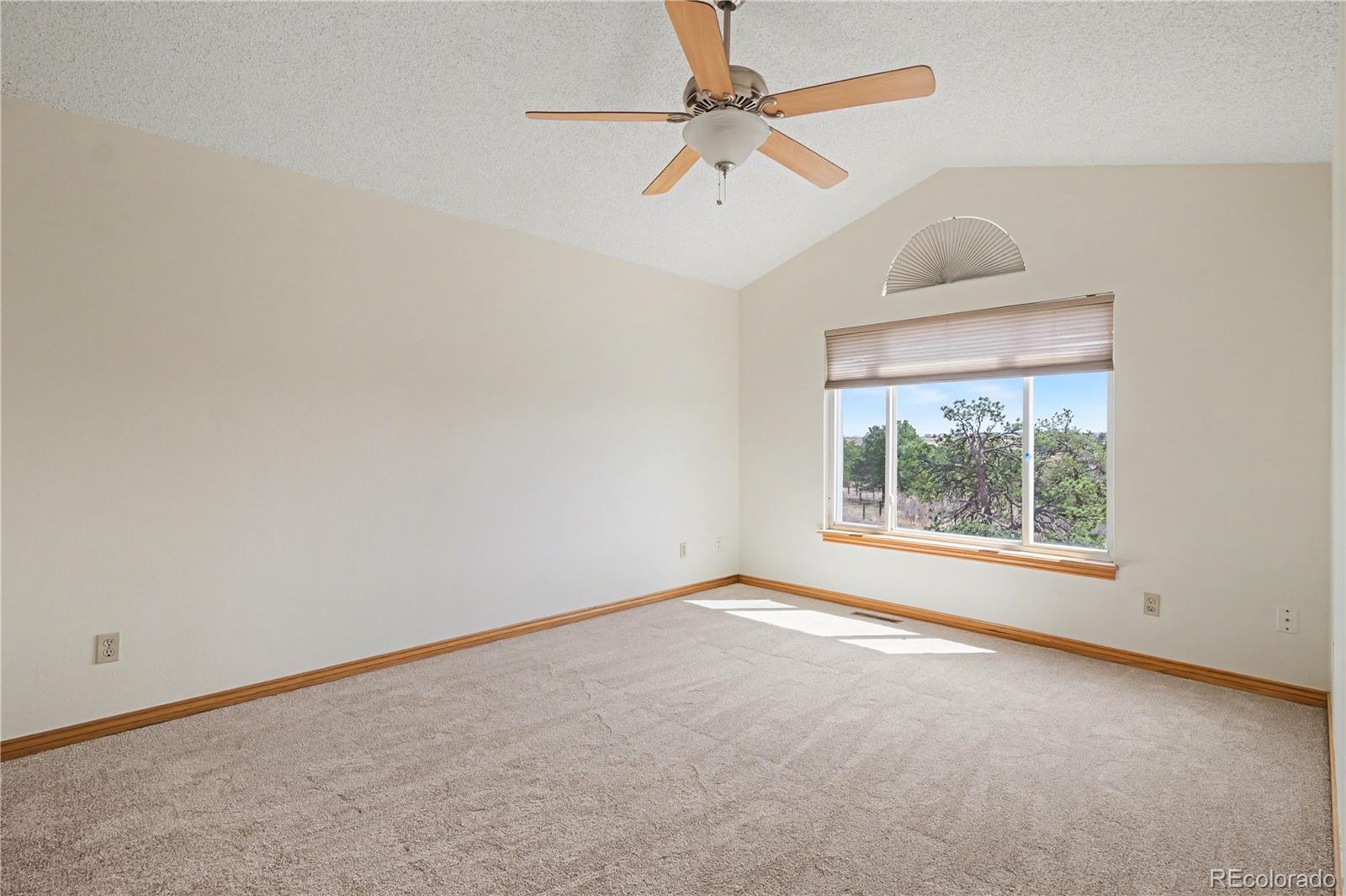 1010 N Tabor Drive Castle Rock CO 80104