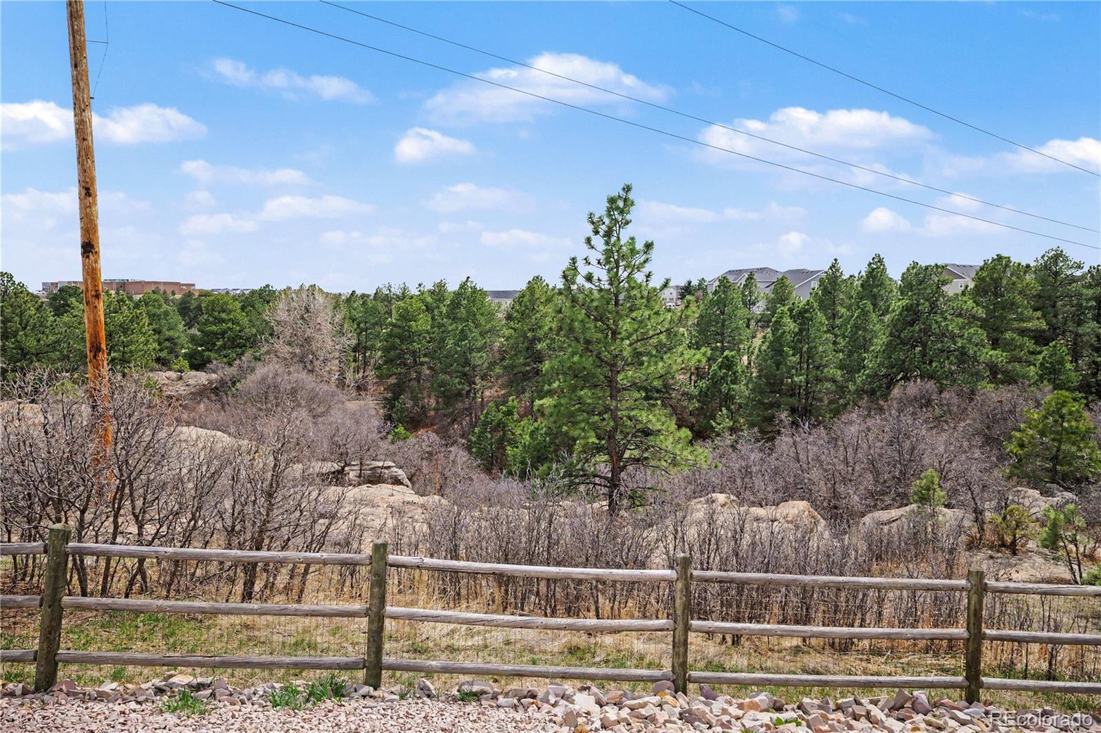 1010 N Tabor Drive Castle Rock CO 80104