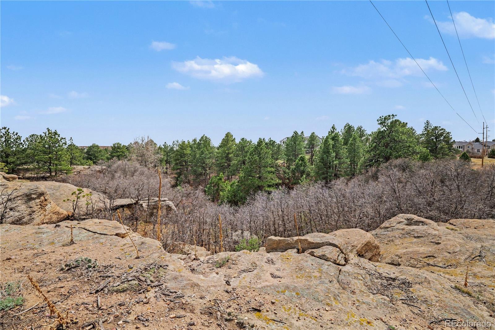 1010 N Tabor Drive Castle Rock CO 80104