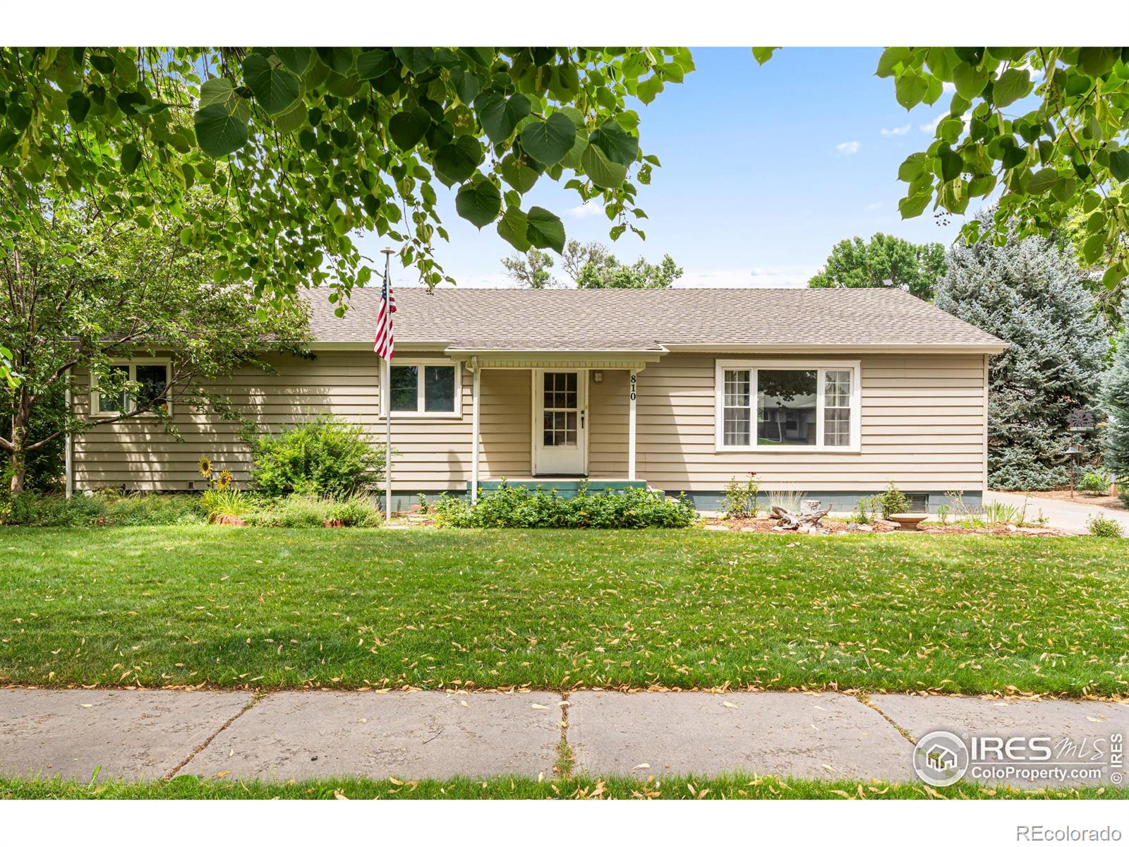 810 Elm Street Windsor CO 80550