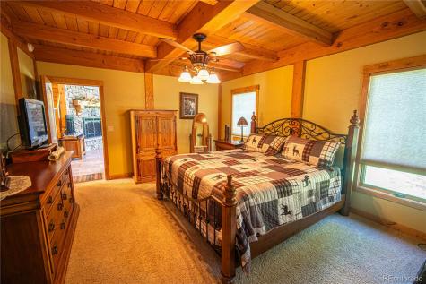 15685 Par Lane Buena Vista CO 81211