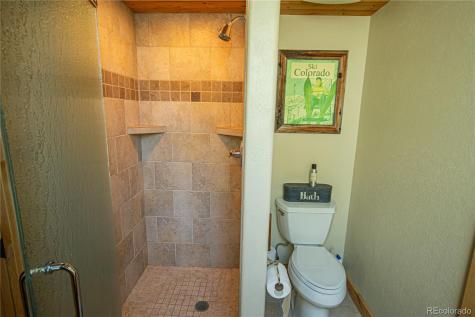 15685 Par Lane Buena Vista CO 81211