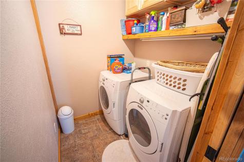 15685 Par Lane Buena Vista CO 81211